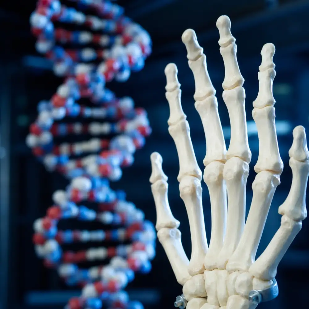 Dna Palec