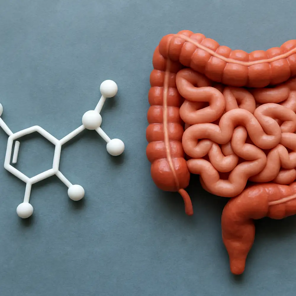 serotonin