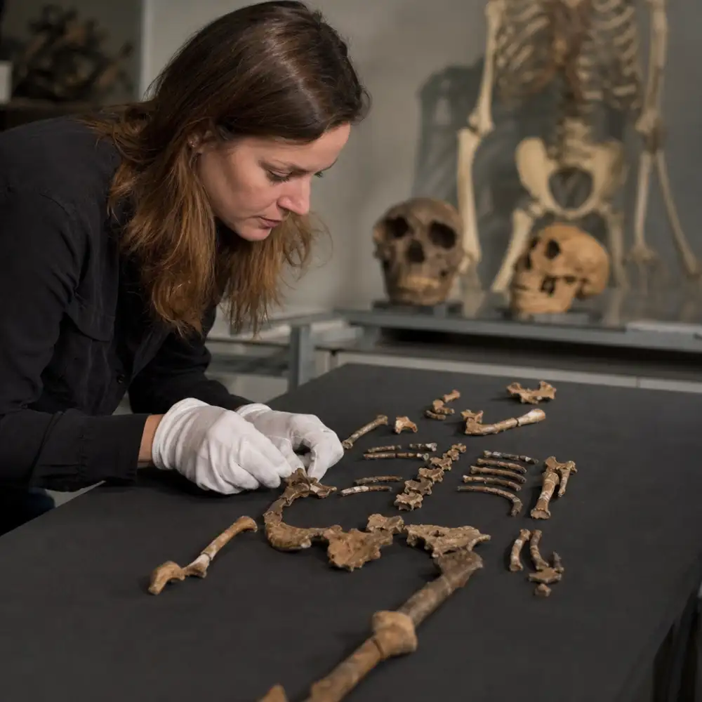 Lucy Paleontologie