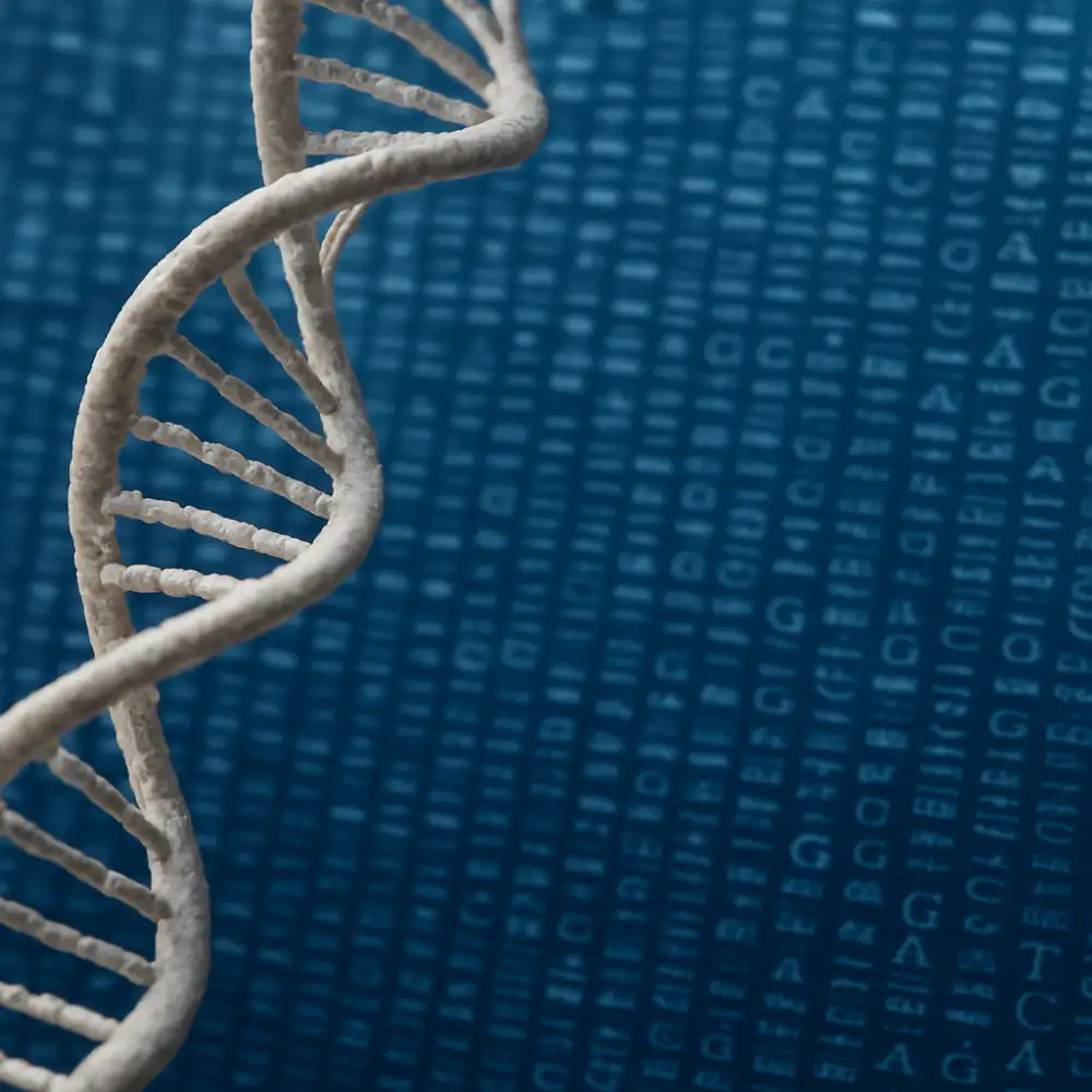 dna genetika