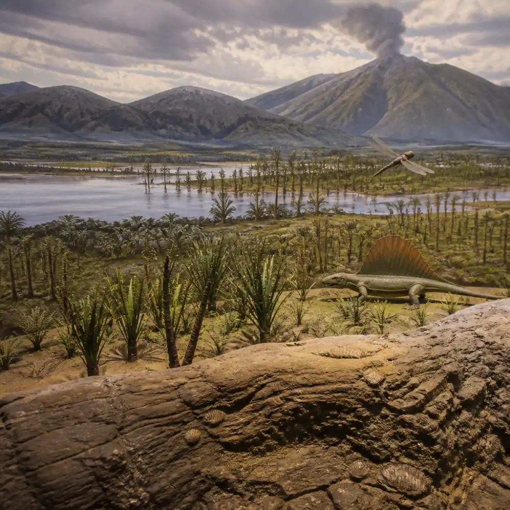 základy historické geologie a paleontologie