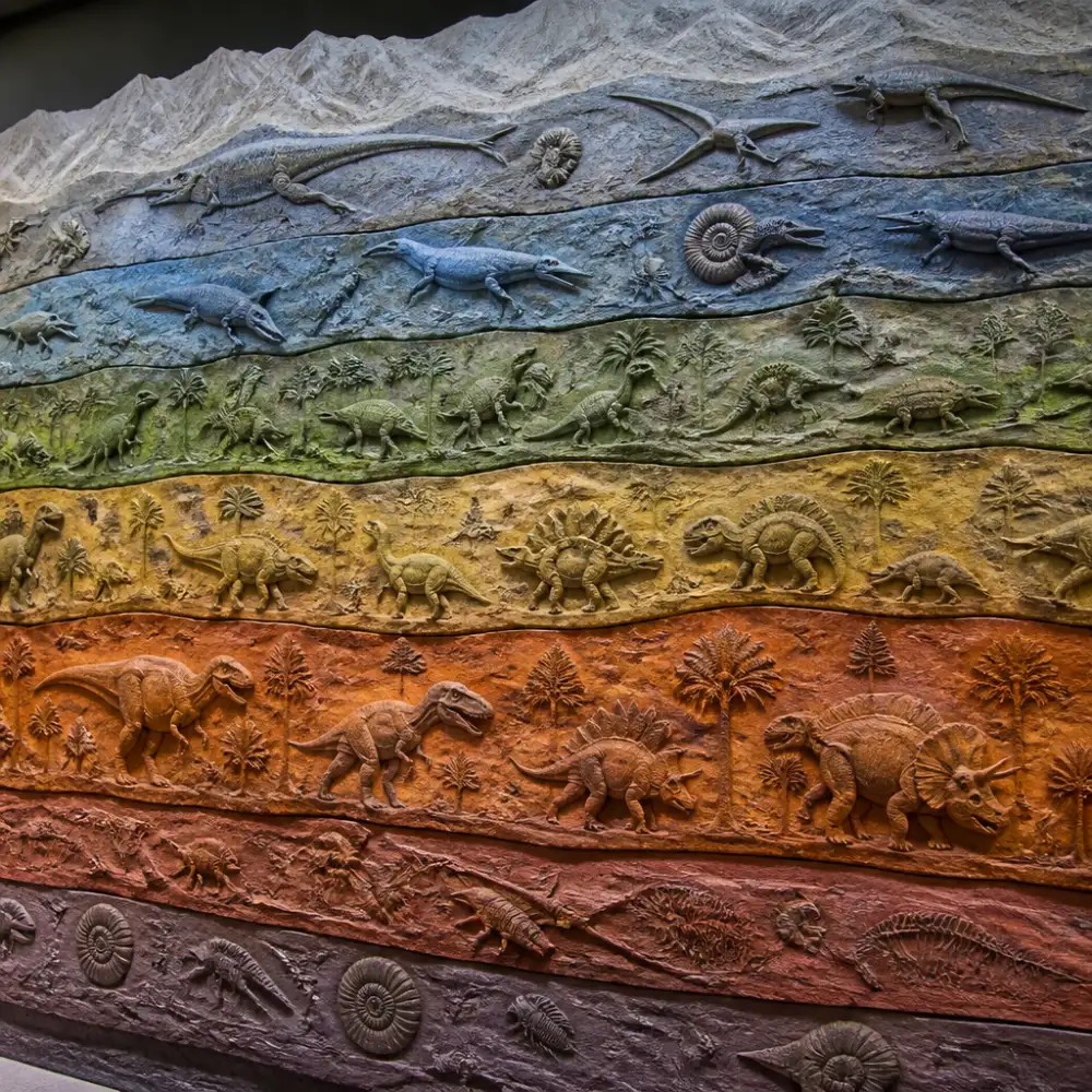 základy historické geologie a paleontologie