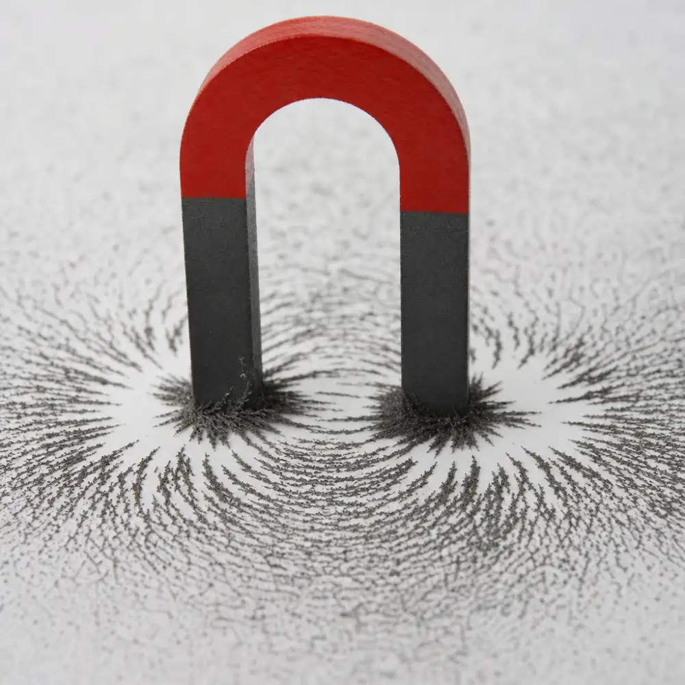 Magnet Fyzika
