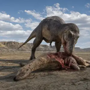 Studie Potvrdila, Že T. Rex Požíral Mršiny Hadrosauridů Ve Wyomingu