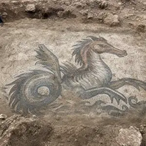V Turecku Archeologové Objevili Antickou Mozaiku S Motivem Mořského Tvora Hippocampa