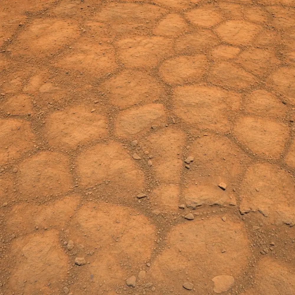 Curiosity Objevila Na Marsu Rozsáhlé Pole Polygonů Připomínající Včelí Plástve