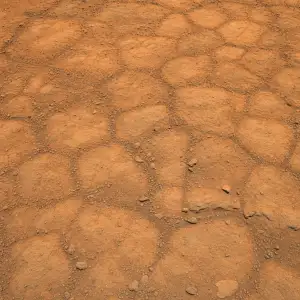Curiosity Objevila Na Marsu Rozsáhlé Pole Polygonů Připomínající Včelí Plástve
