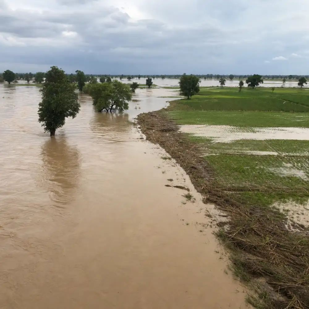 Monzunové Záplavy V Indii Přinášejí Sediment, Který Živí Úrodné Nivy