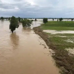 Monzunové Záplavy V Indii Přinášejí Sediment, Který Živí Úrodné Nivy