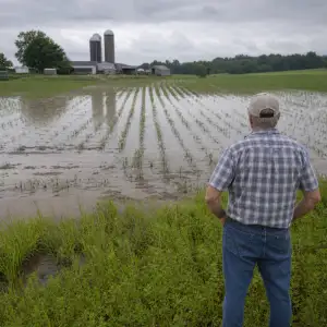 Studie: Zájem Farmářů V Severní Karolíně O Ochranu Proti Povodním Brzdí Administrativa
