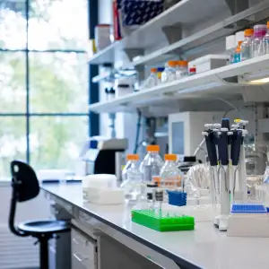 Princeton Hledá Nového Vedoucího Laboratoře Molekulární Biologie Na Tenure-Track Pozici