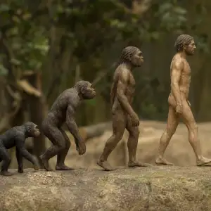 Stanfordská Encyklopedie Filozofie Aktualizovala Heslo O Teoriích Biologického Vývoje