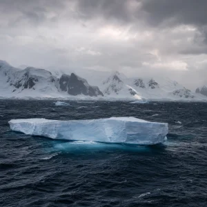 Studie Varuje: Jižní Oceán By Mohl Přestat Pohlcovat Co2 A Stát Se Jeho Zdrojem