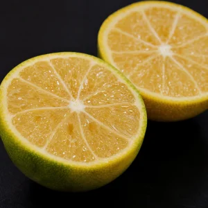 Vědci Objasnili Genetický Mechanismus Granulace Citrusů Zvané Kushui