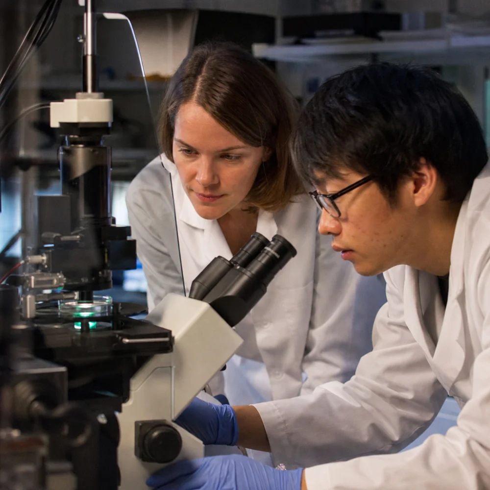 Vědci Z Brown University Odhalili Nový Mechanismus Růstu Axonů V Mozku