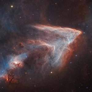 Kuvajtský Snímek Žraločí Mlhoviny Vyhrál Soutěž Zwo Astronomy Photographer Of The Year 2026