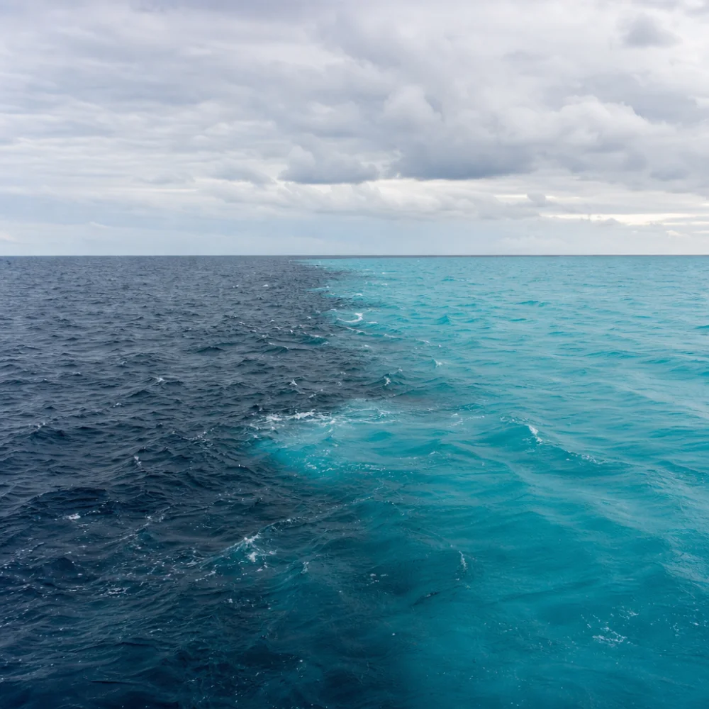 Studie: Oteplování Mění Hladinu Kyslíku V Tichém Oceánu Nerovnoměrně