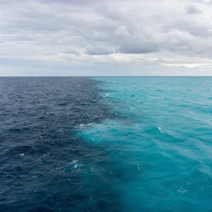 Studie: Oteplování Mění Hladinu Kyslíku V Tichém Oceánu Nerovnoměrně