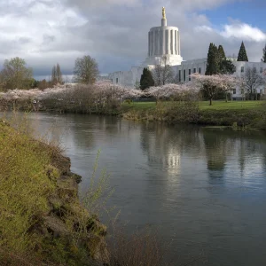 Oregon Hledá Poradce Pro Vodní Práva V Salemu S Platem Až 9 644 Dolarů