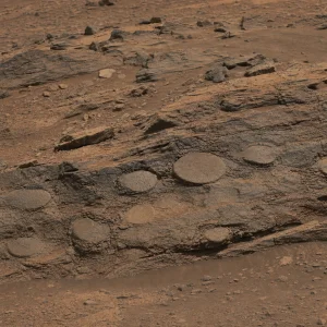 Curiosity Objevil Na Marsu Neobvyklé Diskoidní Útvary V Hornině