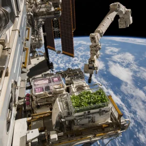 Mise Crs-35 Dopravila Na Iss Experimenty Zkoumající Mozek, Rostliny A Lékovou Odolnost