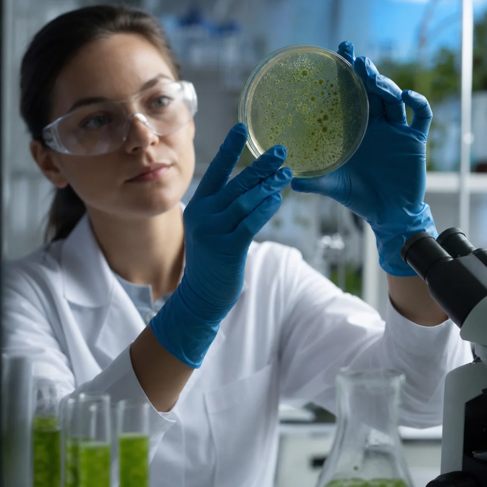 Vědci Objevili První Bakteriální Galaktózovou Oxidázu Pro Zelenou Chemii
