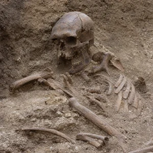 Paleoantropologové Popsali Možné Smrtelné Zranění Neandertálce Z Nové Analýzy Kostí