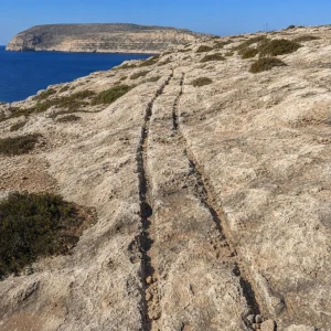 Archaeology Magazine Zveřejnil Text O Analýze Kolejí Od Kol Na Maltě